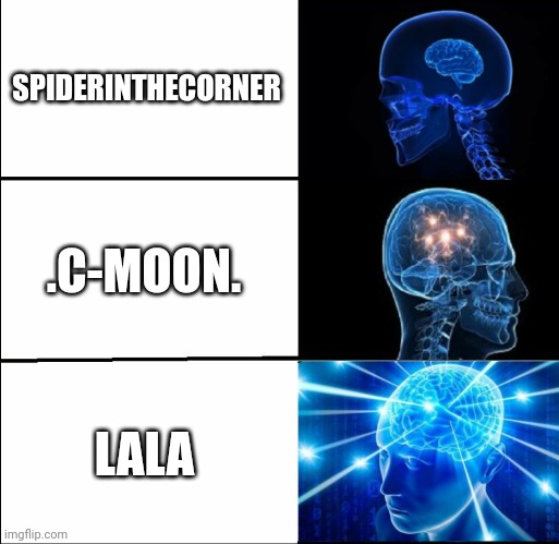 Galaxy Brain (3 brains) | SPIDERINTHECORNER; .C-MOON. LALA | image tagged in galaxy brain 3 brains | made w/ Imgflip meme maker