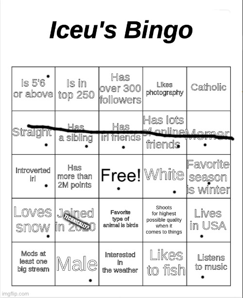 Iceu's Bingo | TECHNICALLY? | image tagged in iceu's bingo | made w/ Imgflip meme maker