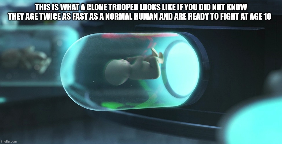 clone trooper | THIS IS WHAT A CLONE TROOPER LOOKS LIKE IF YOU DID NOT KNOW THEY AGE TWICE AS FAST AS A NORMAL HUMAN AND ARE READY TO FIGHT AT AGE 10 | image tagged in clone trooper | made w/ Imgflip meme maker