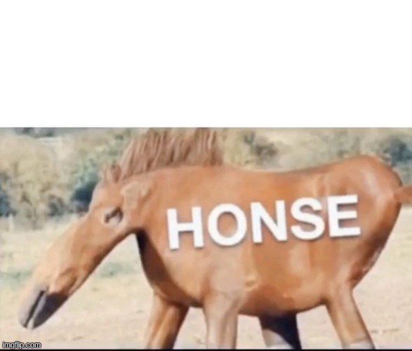 honse | image tagged in honse | made w/ Imgflip meme maker