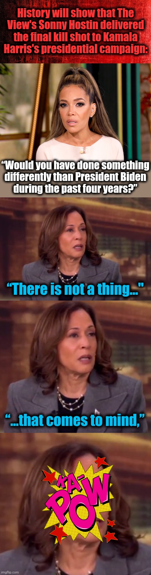 KTFO! | History will show that The
View's Sonny Hostin delivered
the final kill shot to Kamala
Harris's presidential campaign:; “Would you have done something
differently than President Biden
during the past four years?”; “There is not a thing..."; “...that comes to mind,” | image tagged in memes,kamala harris,presidential campaign,kill shot,sonny hostin,democrats | made w/ Imgflip meme maker