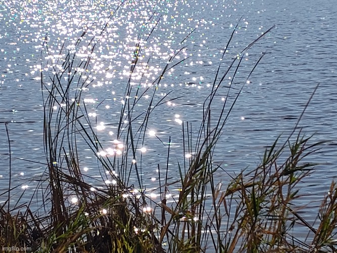 At a lake rn it nice | made w/ Imgflip meme maker