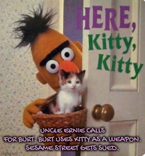 UNCLE ERNIE CALLS FOR BURT. BURT USES KITTY AS A WEAPON.

SESAME STREET GETS SUED. | made w/ Imgflip meme maker