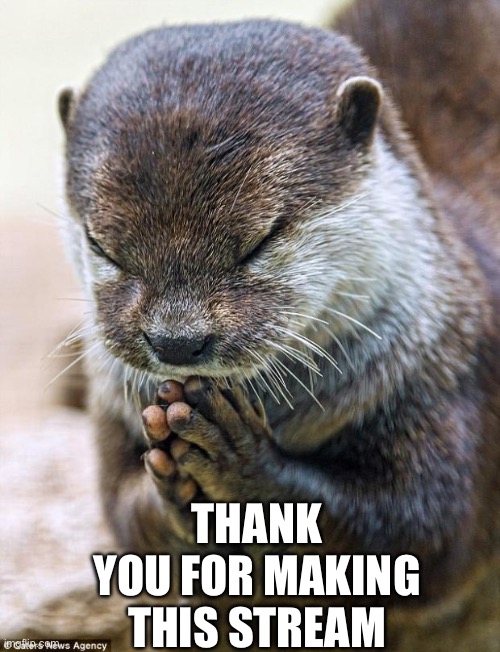 Love you all! | THANK YOU FOR MAKING THIS STREAM | image tagged in thank you lord otter | made w/ Imgflip meme maker