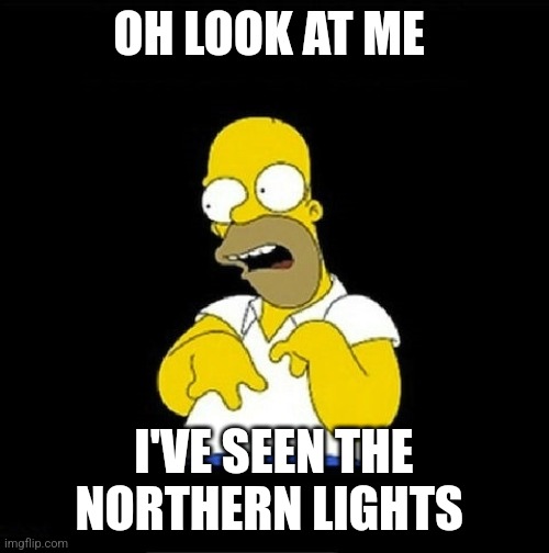 Homer Look at Me | OH LOOK AT ME; I'VE SEEN THE NORTHERN LIGHTS | image tagged in homer look at me | made w/ Imgflip meme maker