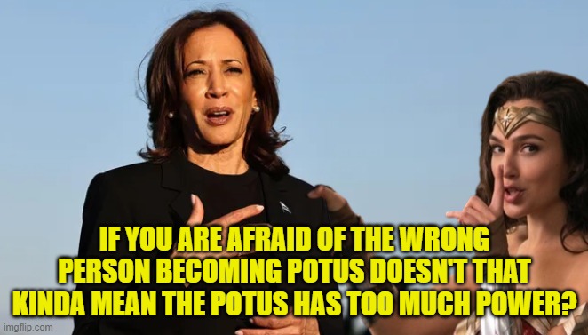 Allow me to shelaborate for you (mansplaining for women) | IF YOU ARE AFRAID OF THE WRONG PERSON BECOMING POTUS DOESN'T THAT KINDA MEAN THE POTUS HAS TOO MUCH POWER? | image tagged in potus,maga,make america great again,dictator,kamala harris,government corruption | made w/ Imgflip meme maker