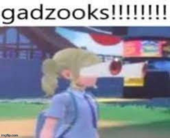 gadzooks | image tagged in gadzooks | made w/ Imgflip meme maker