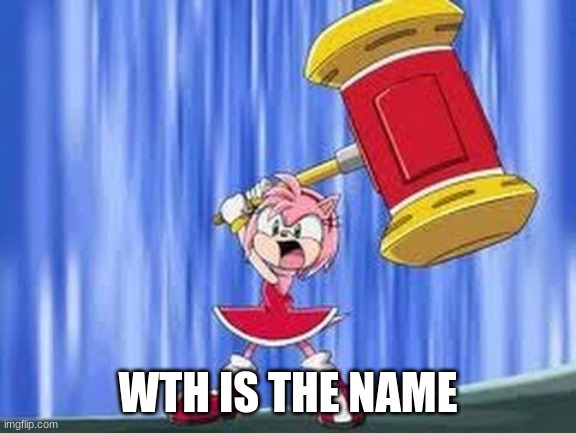 Angry Amy Rose | WTH IS THE NAME | image tagged in angry amy rose | made w/ Imgflip meme maker