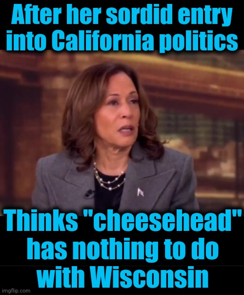 After her sordid entry into California politics; Thinks "cheesehead"
has nothing to do
with Wisconsin | image tagged in memes,kamala harris,cheesehead,california,wisconsin,democrats | made w/ Imgflip meme maker