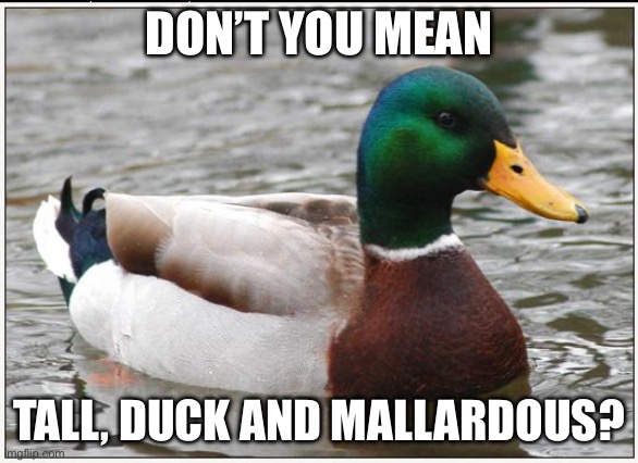 Actual Advice Mallard Meme | DON’T YOU MEAN TALL, DUCK AND MALLARDOUS? | image tagged in memes,actual advice mallard | made w/ Imgflip meme maker