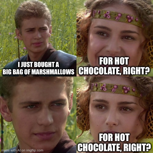 Anakin Padme 4 Panel | I JUST BOUGHT A BIG BAG OF MARSHMALLOWS; FOR HOT CHOCOLATE, RIGHT? FOR HOT CHOCOLATE, RIGHT? | image tagged in anakin padme 4 panel | made w/ Imgflip meme maker