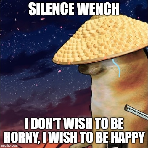 Isn't this what men truly want? | SILENCE WENCH; I DON'T WISH TO BE HORNY, I WISH TO BE HAPPY | image tagged in i don't wish to be anymore | made w/ Imgflip meme maker