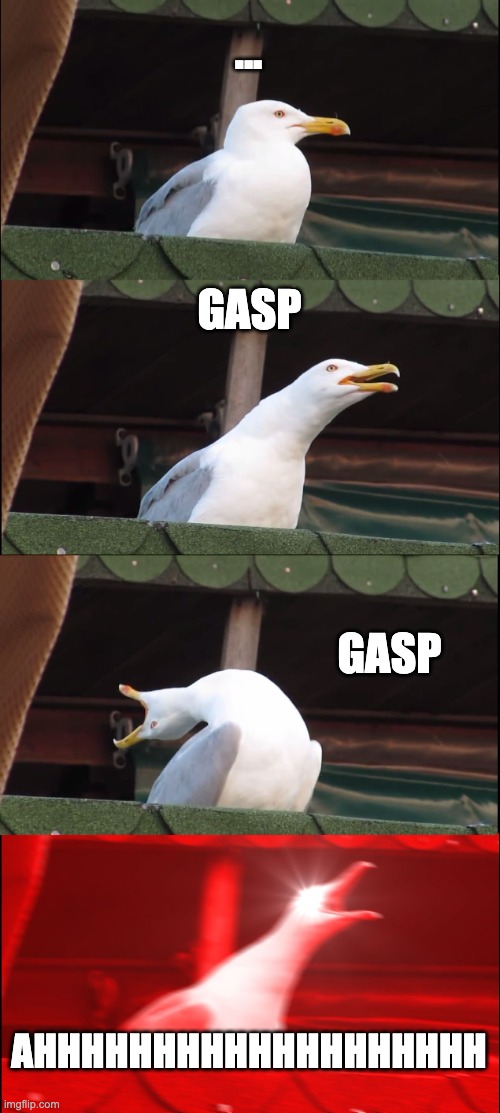 Inhaling Seagull | ... GASP; GASP; AHHHHHHHHHHHHHHHHHHH | image tagged in memes,inhaling seagull | made w/ Imgflip meme maker