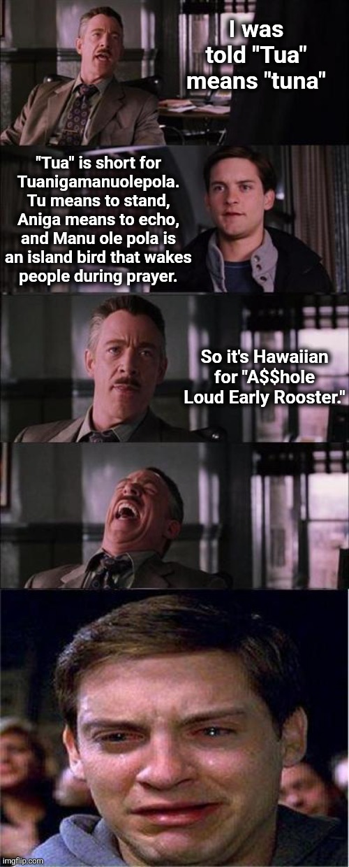 Tua Tagovailoa can beat me down if he can find me | I was told "Tua" means "tuna"; "Tua" is short for
Tuanigamanuolepola.  Tu means to stand, 
Aniga means to echo, and Manu ole pola is an island bird that wakes
people during prayer. So it's Hawaiian for "A$$hole Loud Early Rooster." | image tagged in memes,peter parker cry,tua tagovailoa,tuna,rooster | made w/ Imgflip meme maker