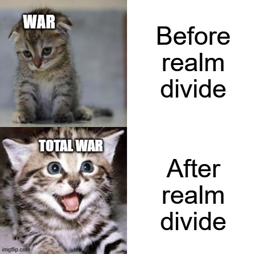 War vs Total War | Before realm divide; WAR; After realm divide; TOTAL WAR | image tagged in sad cat to happy cat | made w/ Imgflip meme maker