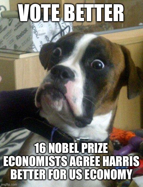 Blankie the Shocked Dog | VOTE BETTER; 16 NOBEL PRIZE ECONOMISTS AGREE HARRIS BETTER FOR US ECONOMY | image tagged in vote,democrat,republican party,republican | made w/ Imgflip meme maker