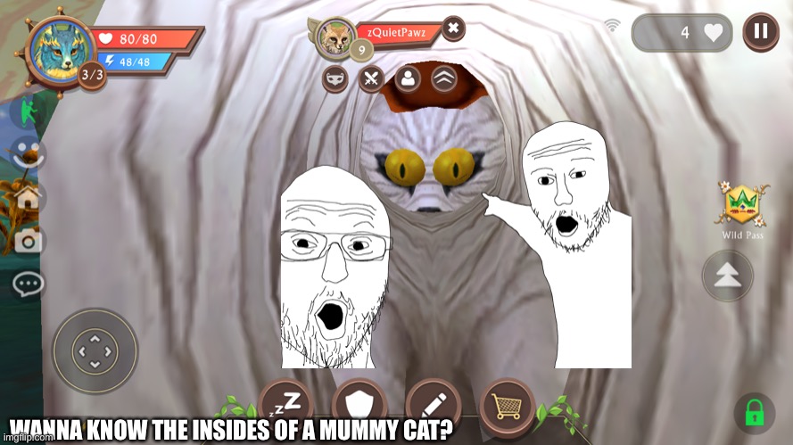 Amazing | WANNA KNOW THE INSIDES OF A MUMMY CAT? | image tagged in cat | made w/ Imgflip meme maker