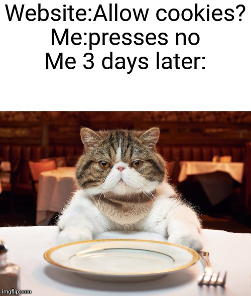 True, right?... Right? | Website:Allow cookies?
Me:presses no
Me 3 days later: | image tagged in hungry cat | made w/ Imgflip meme maker