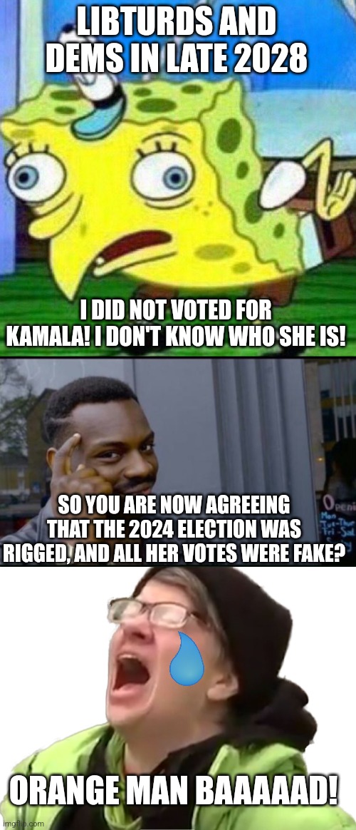 One disaster after another | LIBTURDS AND DEMS IN LATE 2028; I DID NOT VOTED FOR KAMALA! I DON'T KNOW WHO SHE IS! SO YOU ARE NOW AGREEING THAT THE 2024 ELECTION WAS RIGGED, AND ALL HER VOTES WERE FAKE? ORANGE MAN BAAAAAD! | image tagged in triggerpaul,thinking black man,screaming liberal | made w/ Imgflip meme maker