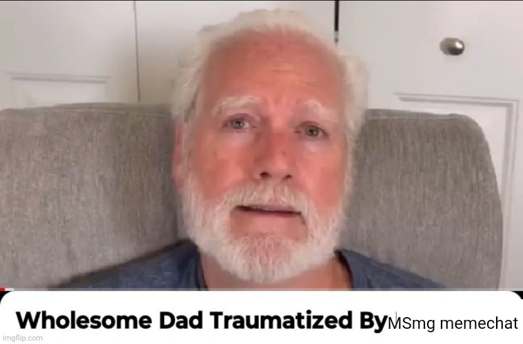 Wholesome dad traumatized by | MSmg memechat | image tagged in wholesome dad traumatized by | made w/ Imgflip meme maker
