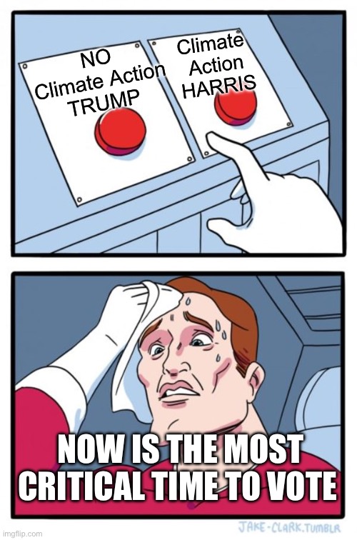 Two Buttons Meme | NO Climate Action
TRUMP; Climate 
Action
HARRIS; NOW IS THE MOST CRITICAL TIME TO VOTE | image tagged in memes,vote,climate change | made w/ Imgflip meme maker