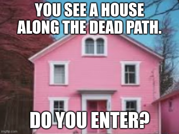 Your #1 fan! (liminal series part three) | YOU SEE A HOUSE ALONG THE DEAD PATH. DO YOU ENTER? | made w/ Imgflip meme maker