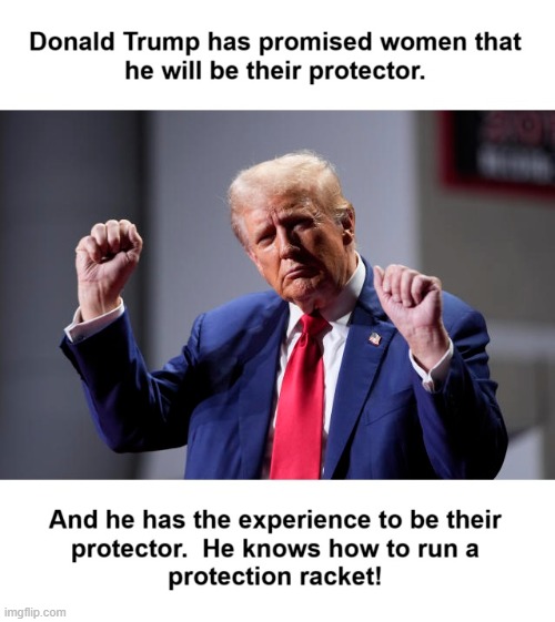 Donald Trump the Protector | image tagged in donald trump,donald trump is sexist,donald trump is a moron,trump sucks | made w/ Imgflip meme maker