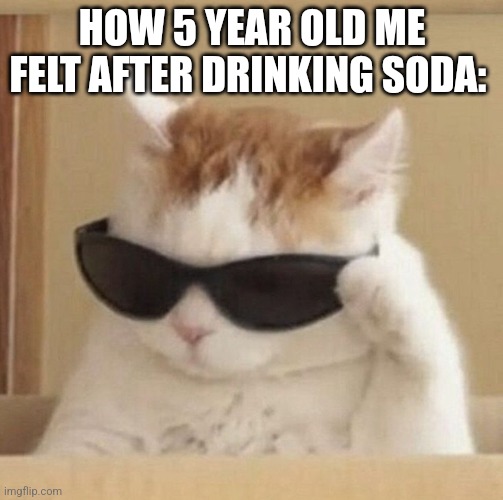 Cool cat | HOW 5 YEAR OLD ME FELT AFTER DRINKING SODA: | image tagged in cool cat,nostalgia,soda,memes,funny | made w/ Imgflip meme maker