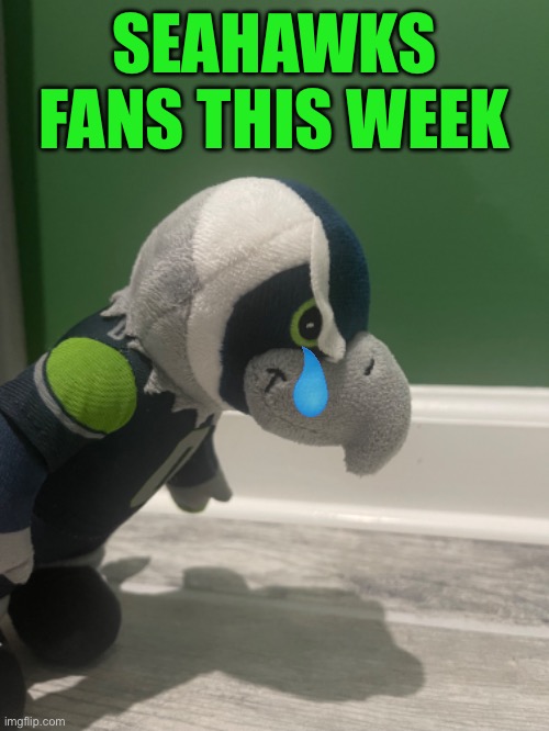 Seahawks fans right now | SEAHAWKS FANS THIS WEEK | image tagged in funny,nfl,memes,sports,football,sad but true | made w/ Imgflip meme maker