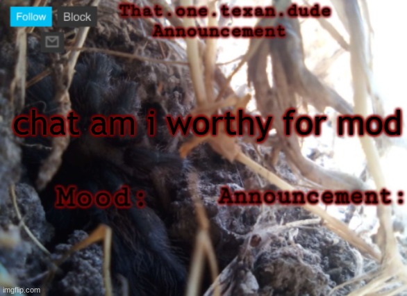 THE that.one.texan.dude announcement template | chat am i worthy for mod | image tagged in the that one texan dude announcement template | made w/ Imgflip meme maker