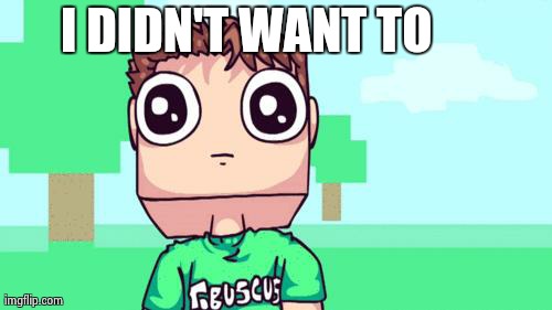 TOBUSCUS | I DIDN'T WANT TO | image tagged in tobuscus | made w/ Imgflip meme maker