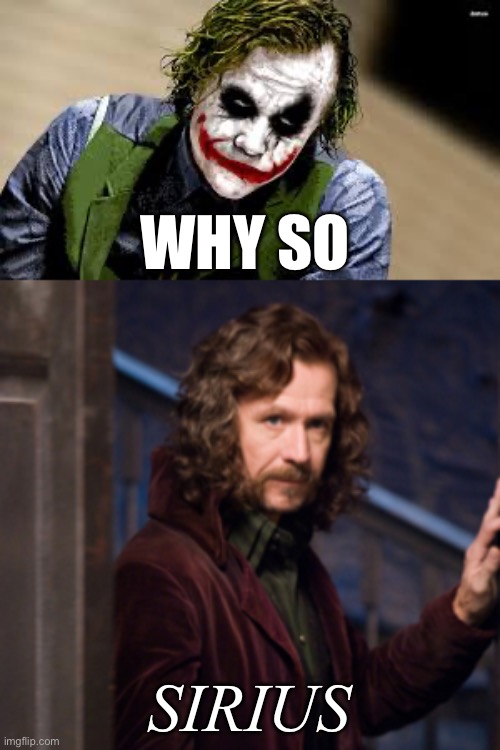 Sirius | WHY SO; SIRIUS | image tagged in why so serious,sirius,why so serious joker | made w/ Imgflip meme maker