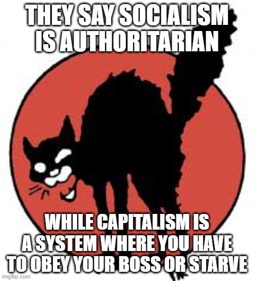 end tyranny. end capitalism. | THEY SAY SOCIALISM IS AUTHORITARIAN; WHILE CAPITALISM IS A SYSTEM WHERE YOU HAVE TO OBEY YOUR BOSS OR STARVE | image tagged in angry sabo tabby,capitalism,socialism | made w/ Imgflip meme maker