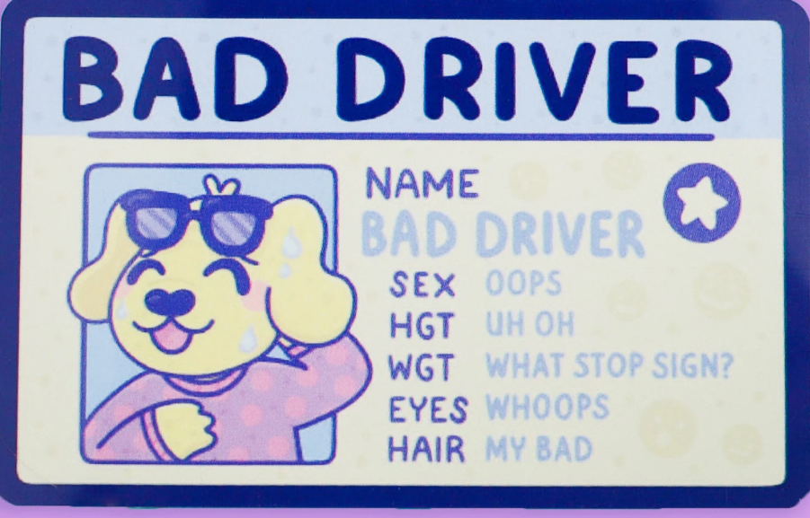 Florida Drivers License Blank Meme Template