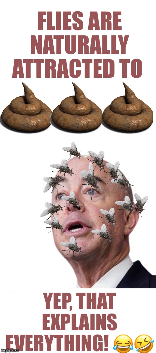 FLIES ARE NATURALLY ATTRACTED TO; YEP, THAT EXPLAINS EVERYTHING! 😂🤣 | made w/ Imgflip meme maker