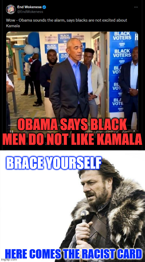 That's racist | OBAMA SAYS BLACK MEN DO NOT LIKE KAMALA; BRACE YOURSELF; HERE COMES THE RACIST CARD | image tagged in memes,0bama,black men,do not like,kamala | made w/ Imgflip meme maker