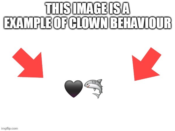 It's stupid | 🖤🦈 | image tagged in this image is a example of clown behaviour | made w/ Imgflip meme maker