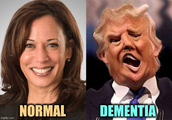 Kamala Harris sane, Donald Trump crazy | NORMAL; DEMENTIA | image tagged in kamala harris sane donald trump crazy on acid,kamala harris,normal,trump,senile,dementia | made w/ Imgflip meme maker