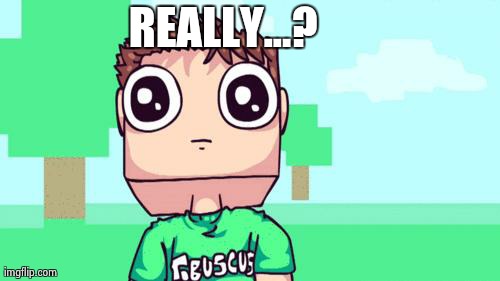 TOBUSCUS | REALLY...? | image tagged in tobuscus | made w/ Imgflip meme maker