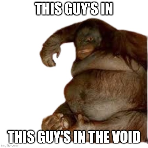 This Guy | THIS GUY'S IN; THIS GUY'S IN THE VOID | image tagged in this guy | made w/ Imgflip meme maker