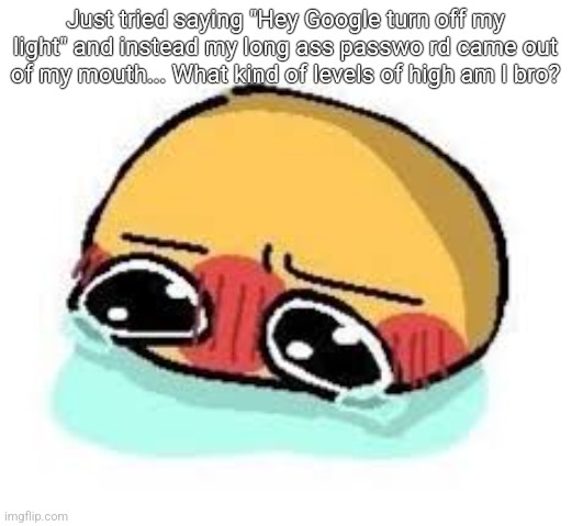 How did I remebmer | Just tried saying "Hey Google turn off my light" and instead my long ass passwo rd came out of my mouth... What kind of levels of high am I bro? | image tagged in amb shamb bbbmba | made w/ Imgflip meme maker