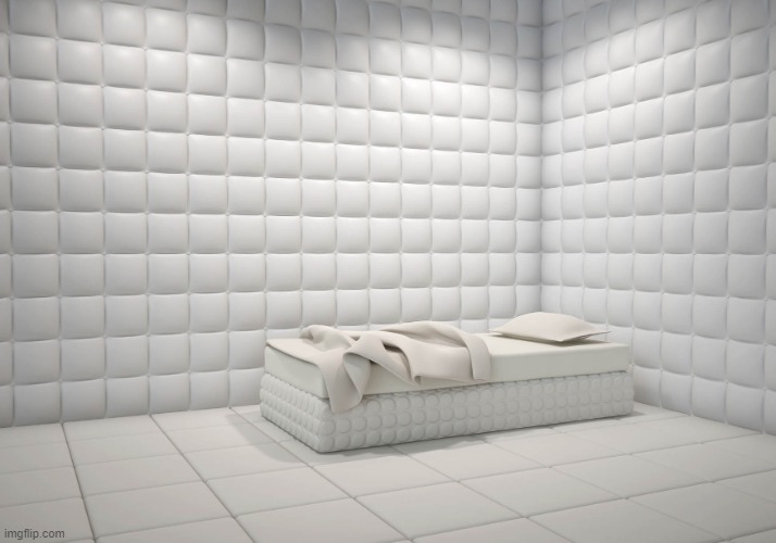 Rubber Room | image tagged in rubber room | made w/ Imgflip meme maker
