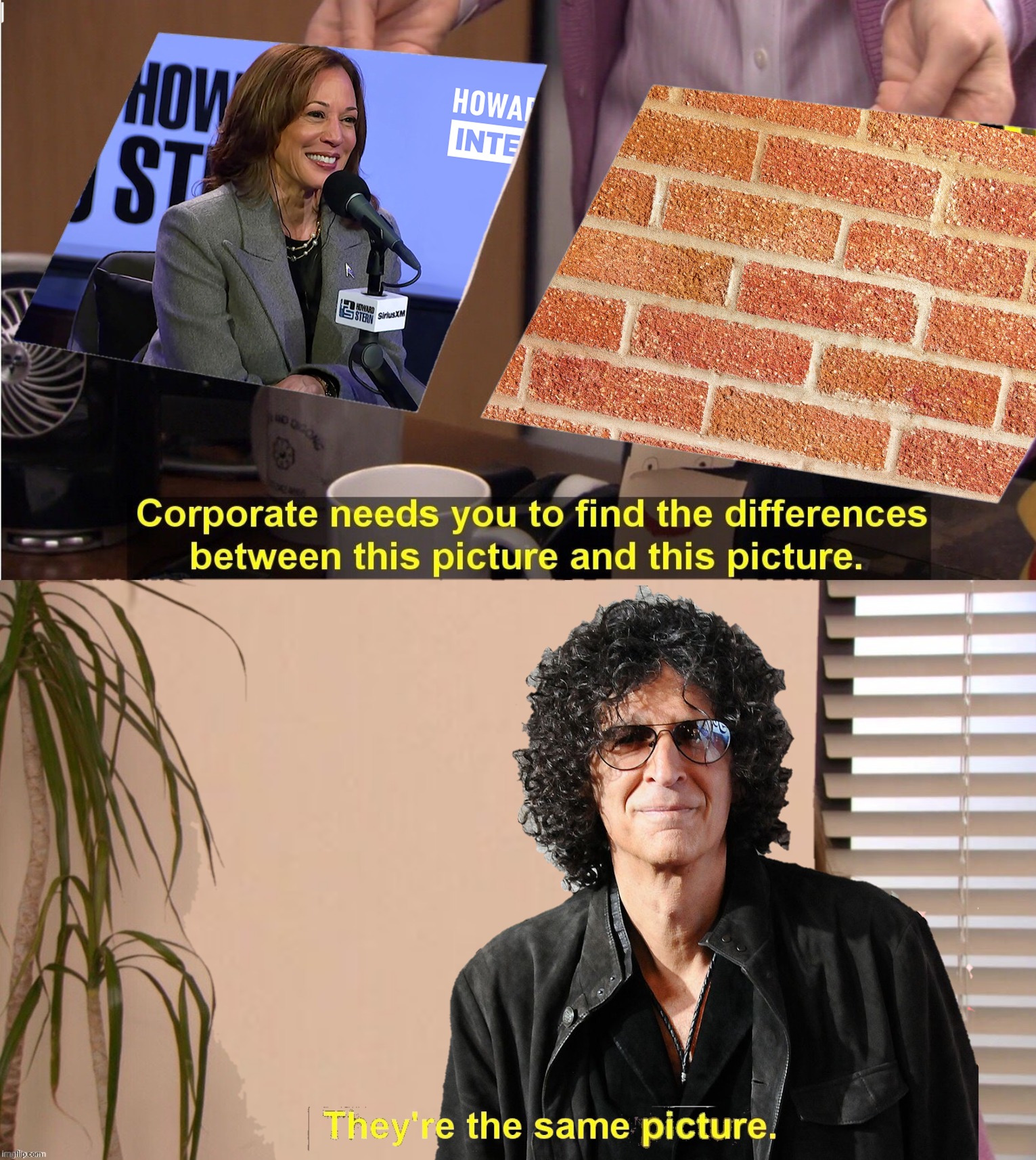 When you tell the world you'd vote for a wall | image tagged in bad photoshop,kamala harris,howard stern,the office,corporate needs you to find the differences | made w/ Imgflip meme maker