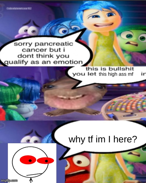 sorry pancreatic cancer but I don’t think you qualify as an emot | this high ass mf; why tf im I here? | image tagged in sorry pancreatic cancer but i don t think you qualify as an emot | made w/ Imgflip meme maker