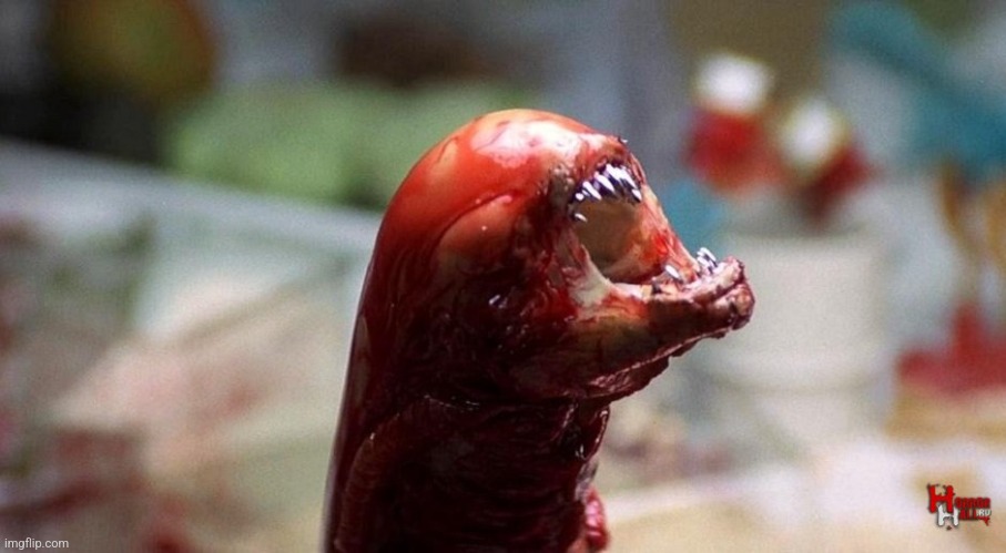 Chestburster | image tagged in chestburster | made w/ Imgflip meme maker