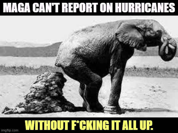 Hurricane lies | MAGA CAN'T REPORT ON HURRICANES; WITHOUT F*CKING IT ALL UP. | image tagged in elephant poopy,maga,hurricane,lies | made w/ Imgflip meme maker