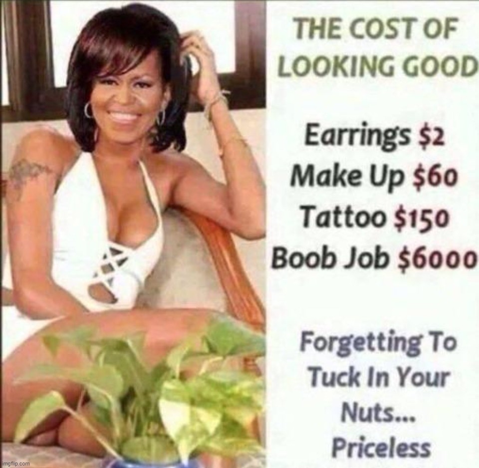 Priceless! | image tagged in michelle obama,nuts,cojones,transgender,tired of hearing about transgenders,testicles | made w/ Imgflip meme maker