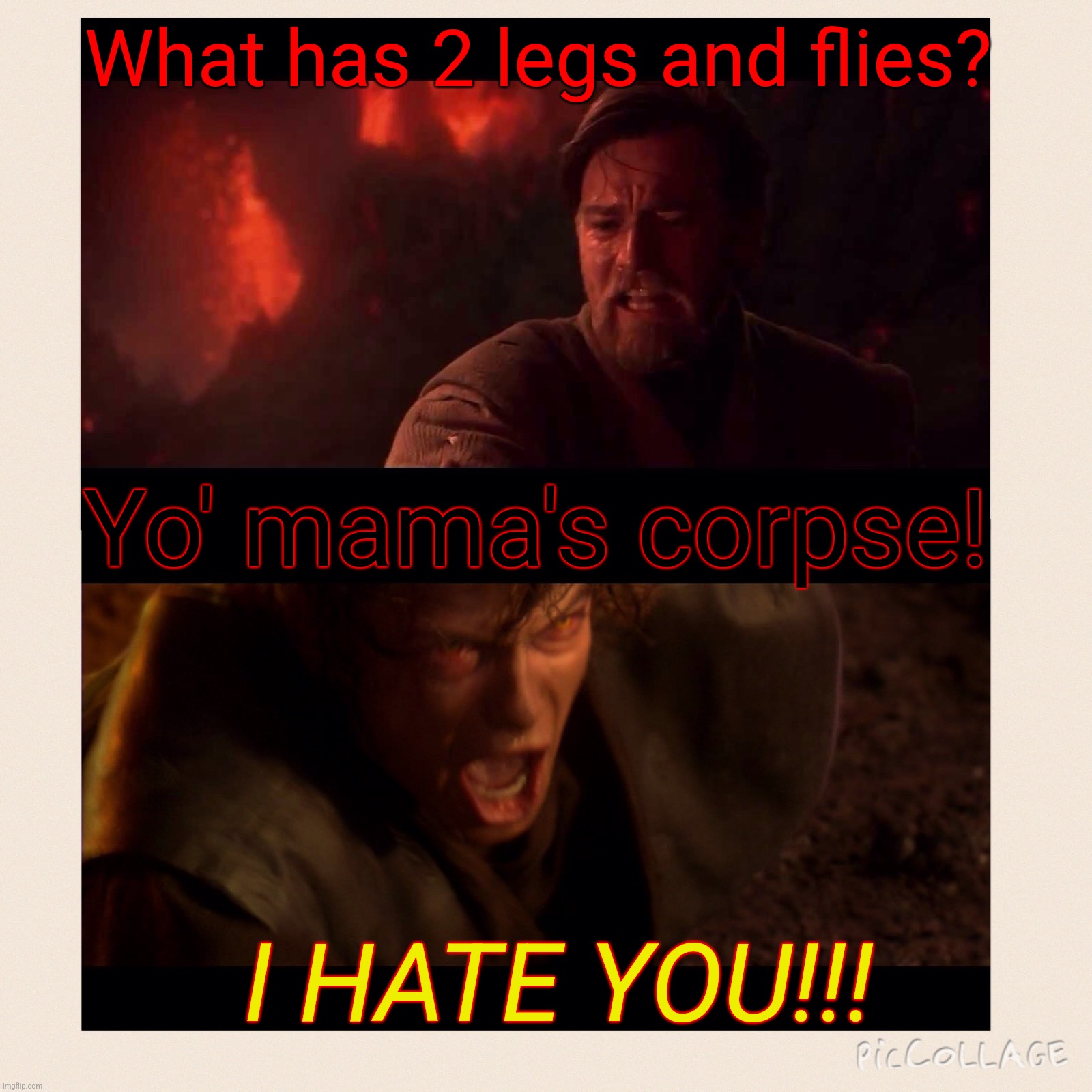 That's cold as Hoth, man! | What has 2 legs and flies? Yo' mama's corpse! I HATE YOU!!! | image tagged in obi wan insults anakin,memes,yo mama joke,dark humor,happy halloween | made w/ Imgflip meme maker