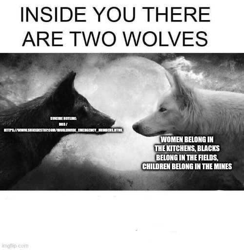 asf | SUICIDE HOTLINE: 988 / HTTPS://WWW.SUICIDESTOP.COM/WORLDWIDE_EMERGENCY_NUMBERS.HTML; WOMEN BELONG IN THE KITCHENS, BLACKS BELONG IN THE FIELDS, CHILDREN BELONG IN THE MINES | image tagged in inside you there are two wolves | made w/ Imgflip meme maker