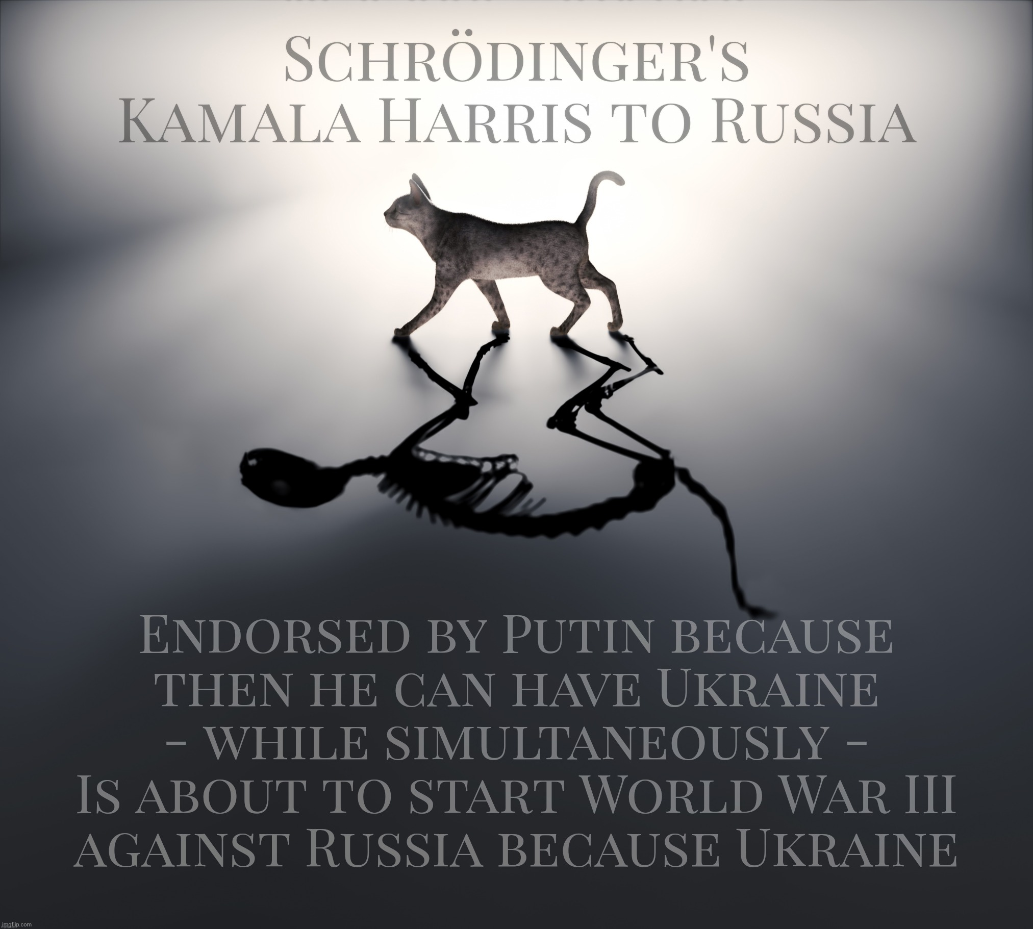 Schrödinger's Kamala Harris to Russia | Schrödinger's Kamala Harris to Russia Endorsed by Putin because
then he can have Ukraine
- while simultaneously -
Is about to start World Wa | image tagged in schrodinger's cat,schrodinger's kamala harris,to russia with shove,wwiii,guess putin endorsed the wrong one,get a brain | made w/ Imgflip meme maker